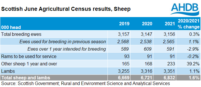 Scotland June sheep survey results table